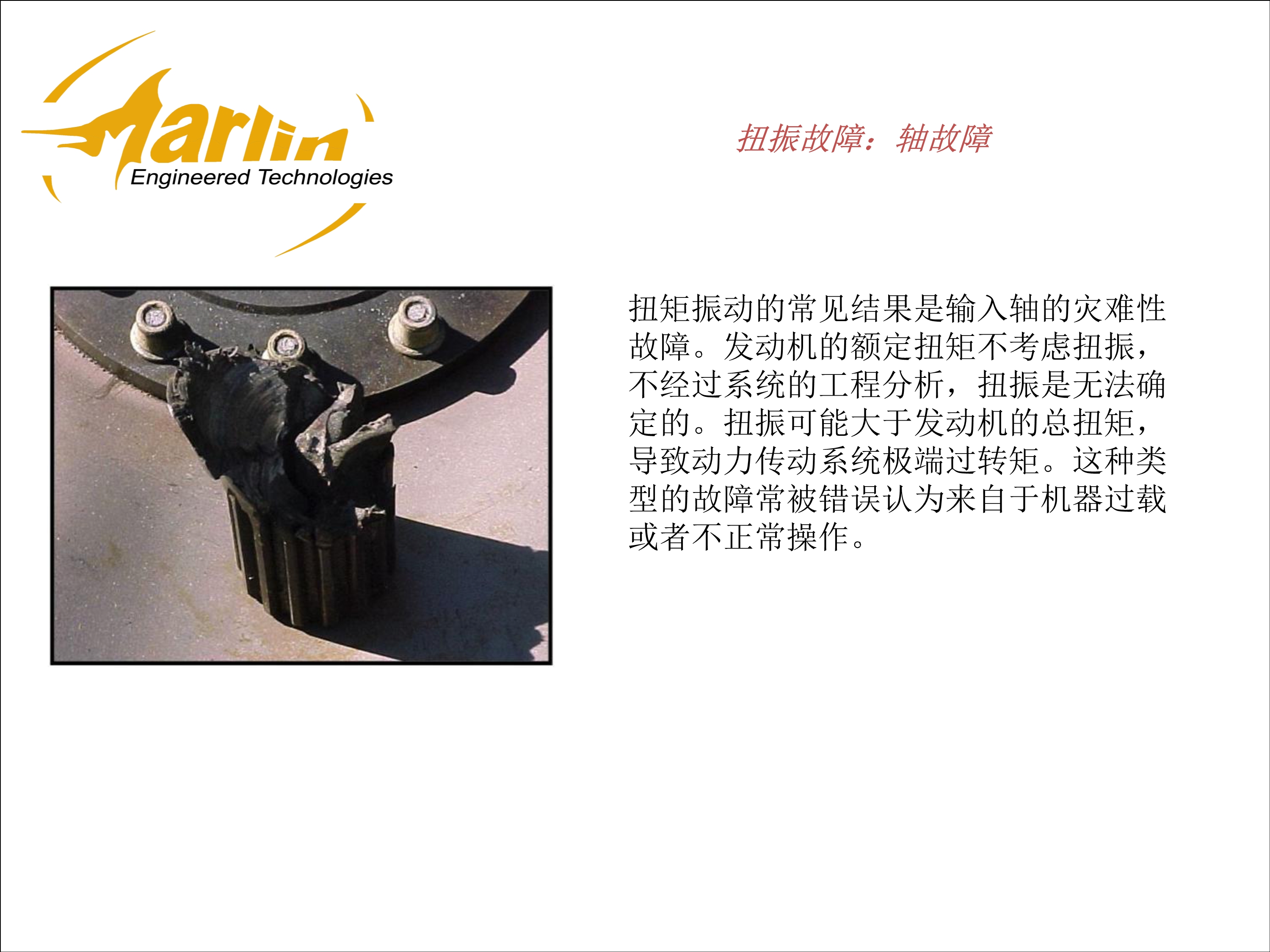 122614572816_0故障演示(扭振分析_4.Jpeg